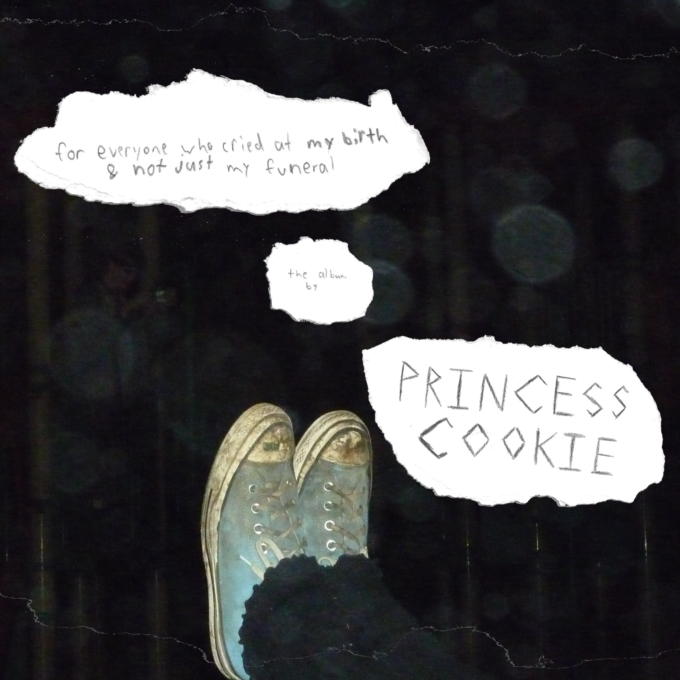 princess cookie - for everyone who cried at my birth and not just my funeral